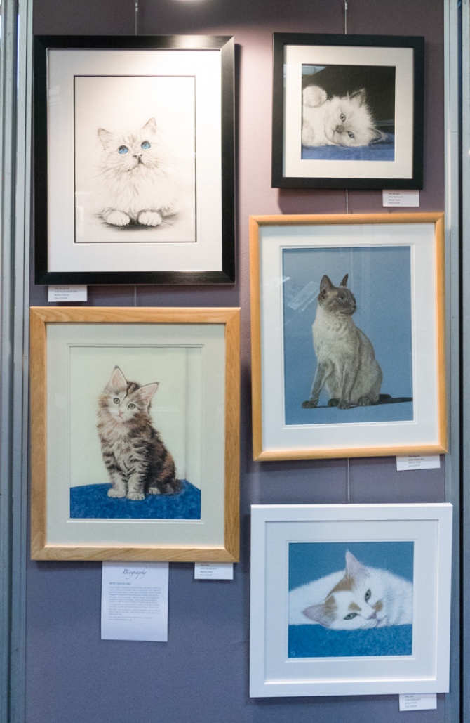 Feline Art Show - Cats Protection 2017