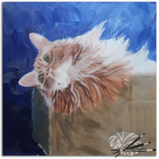 Michelle Hawes-Cat in a Box-345-Oil on Paper