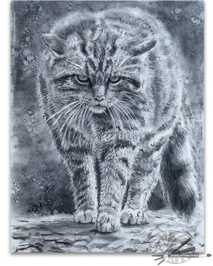 Sarais Crawshaw-Wildcat Prowling-Charcoal on Paper-£300