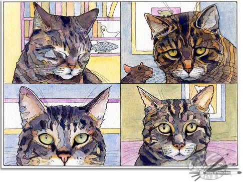 'Tabbys wot zoom' by Marian Forster Watercolour and pen on paper 21cm x 30cm £380